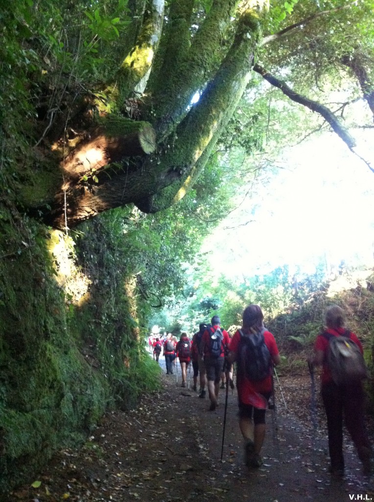 05.07.13_IT_NERE_camino santiago ateneo policía local elche (3)