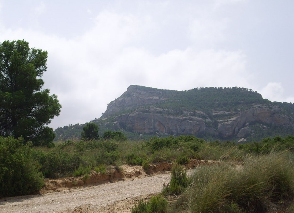 Arabi