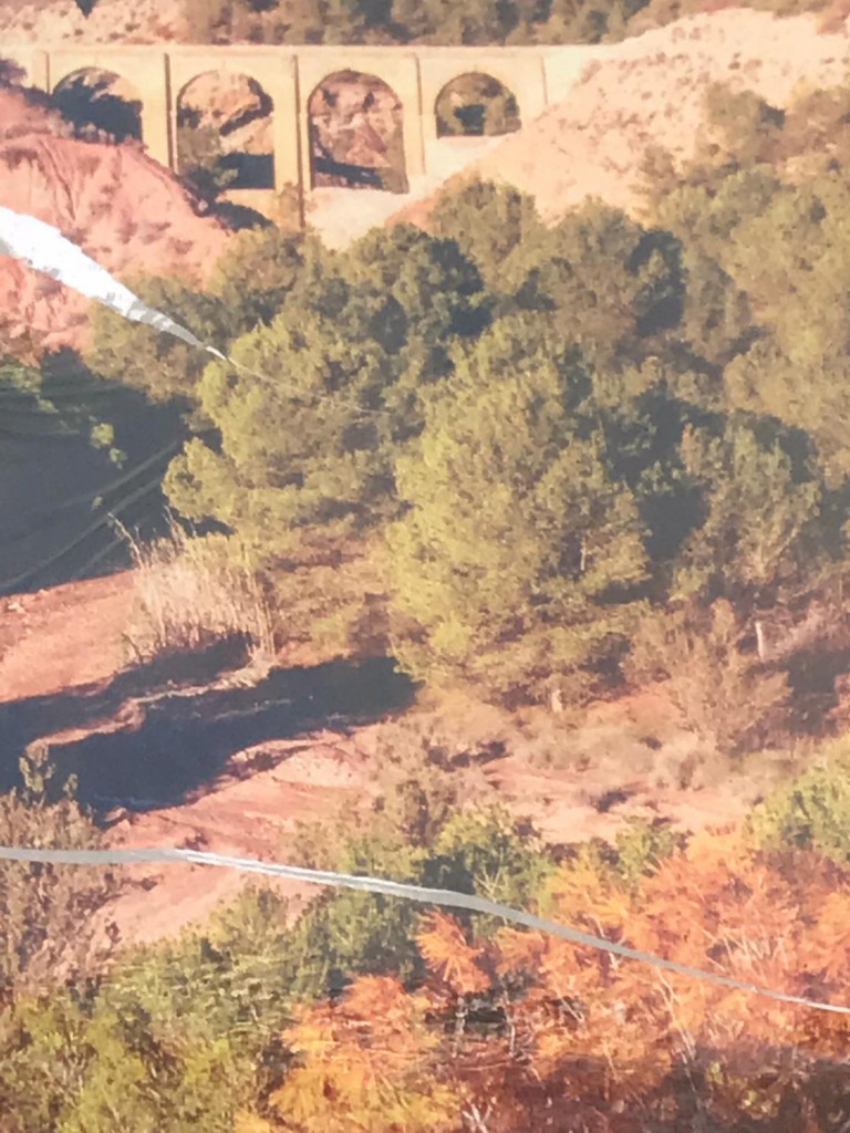 puente 5 ojos