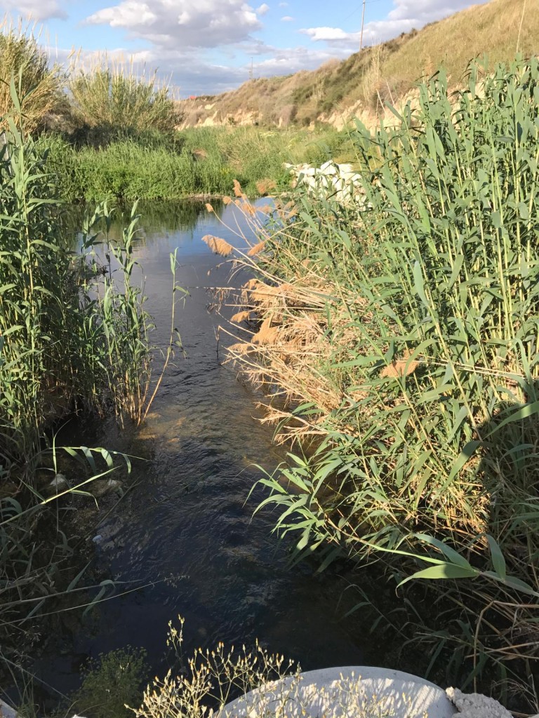 rio tarafa