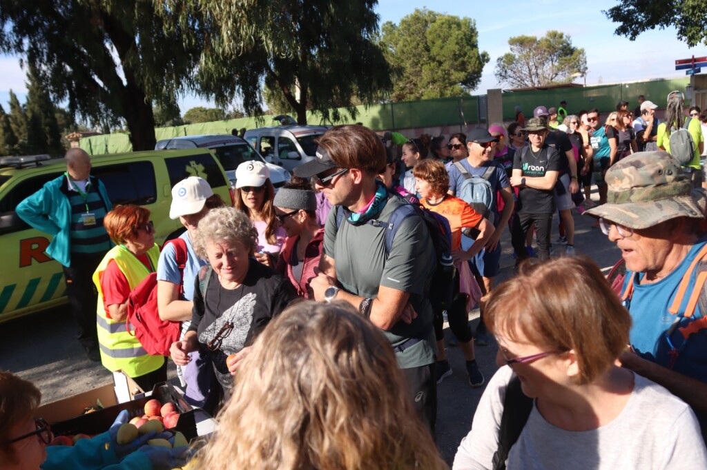 WhatsApp Image 2025-11-19 at 13.00.37 (5)