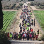 WhatsApp Image 2025-11-19 at 13.00.39 (1)