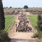 WhatsApp Image 2025-11-19 at 13.00.39