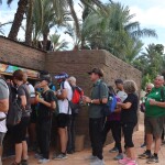 WhatsApp Image 2025-11-19 at 13.08.57