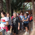 WhatsApp Image 2025-11-19 at 13.08.57 (3)