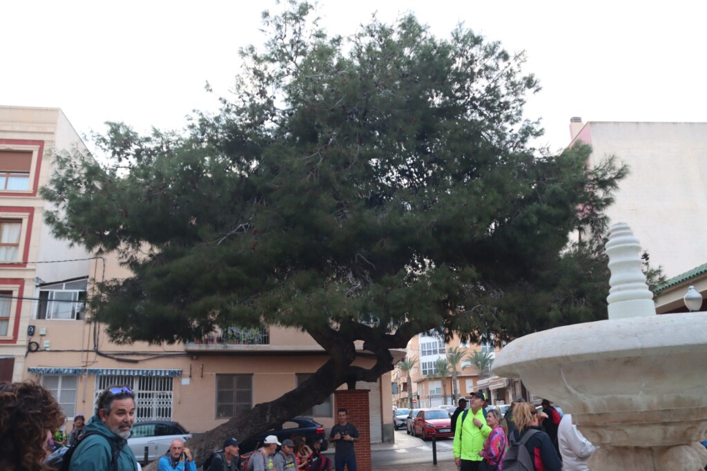 WhatsApp Image 2025-11-19 at 13.08.59 (2)