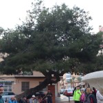 WhatsApp Image 2025-11-19 at 13.08.59 (2)