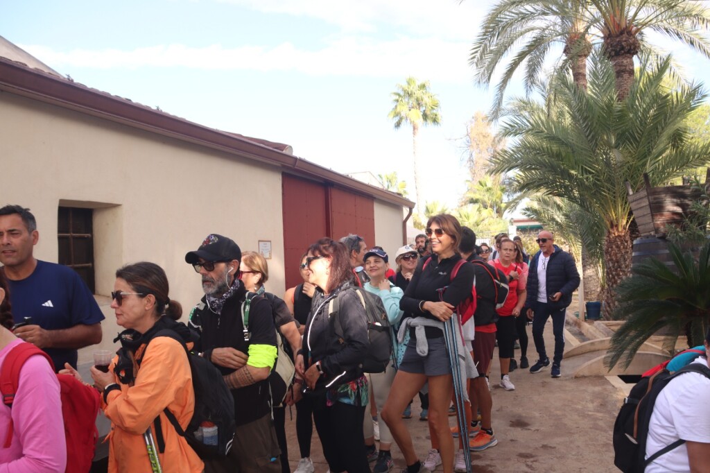 WhatsApp Image 2025-11-19 at 13.09.07